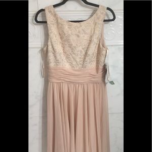 NWT Blush lace detail plus sized dress